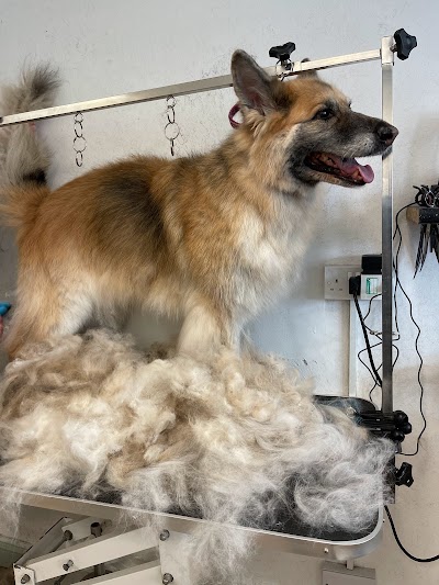 Grooming Van Image