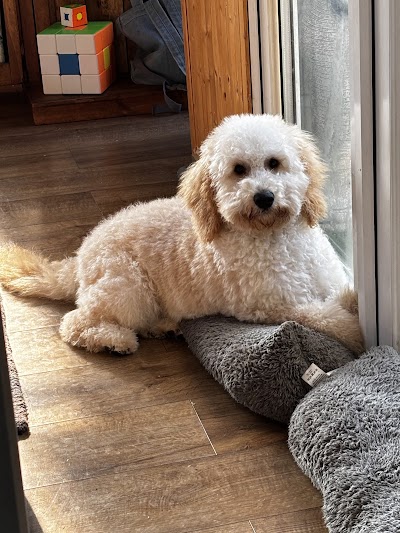 Grooming Van Image