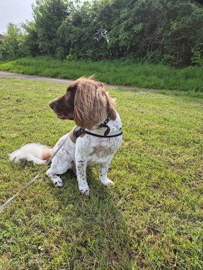 Grooming Van Image