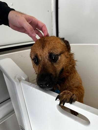 Grooming Van Image