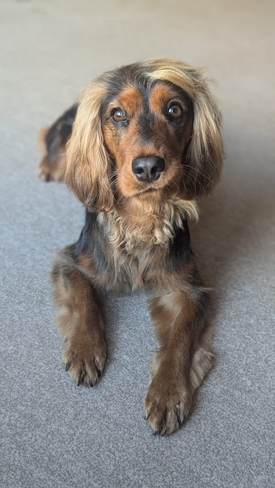 Grooming Van Image