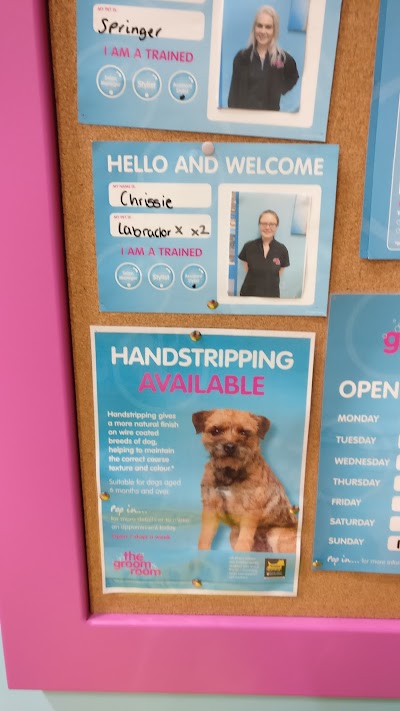 Grooming Van Image