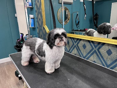 Grooming Van Image