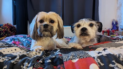 Grooming Van Image