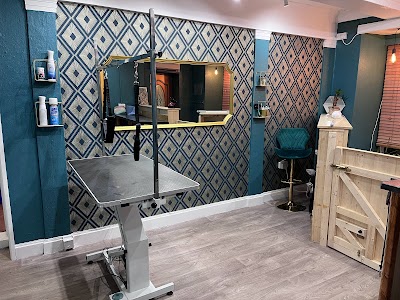 Grooming Van Image