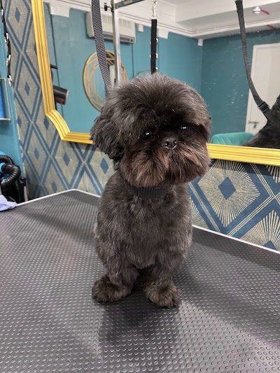 Grooming Van Image