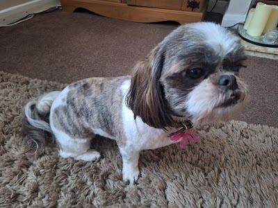 Grooming Van Image