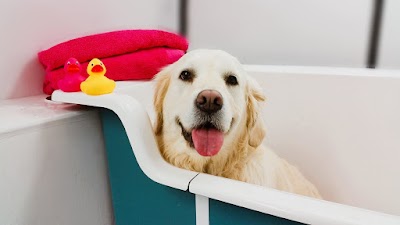 Grooming Van Image