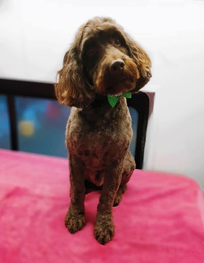 Grooming Van Image