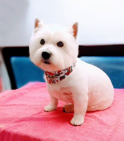 Grooming Van Image