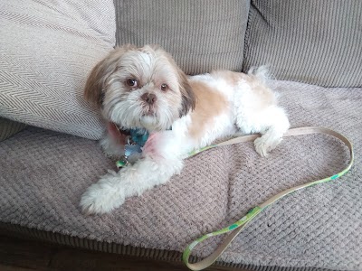 Grooming Van Image