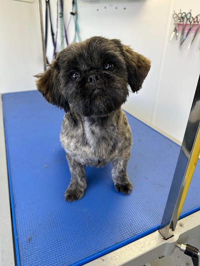 Grooming Van Image
