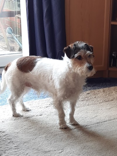 Grooming Van Image