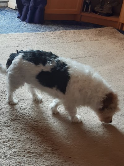Grooming Van Image