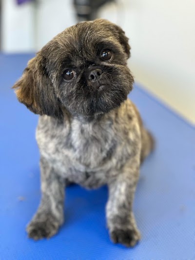 Grooming Van Image