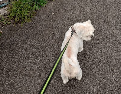 Grooming Van Image