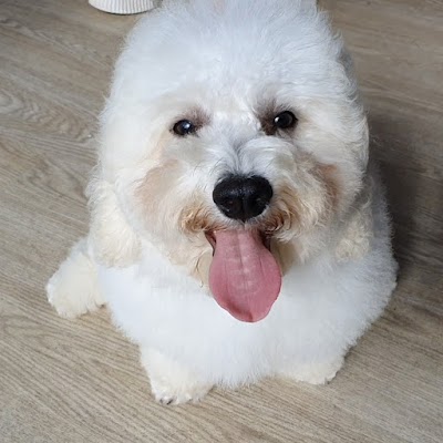 Grooming Van Image