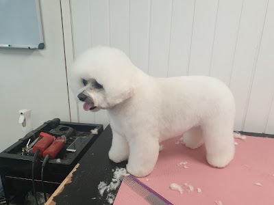 Grooming Van Image