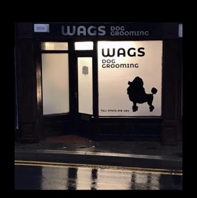 Grooming Van Image