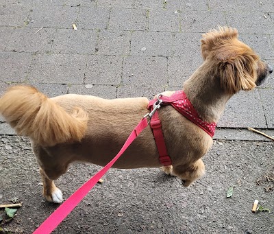 Grooming Van Image