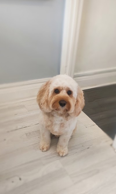 Grooming Van Image