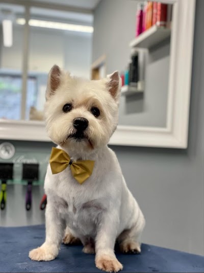 Grooming Van Image