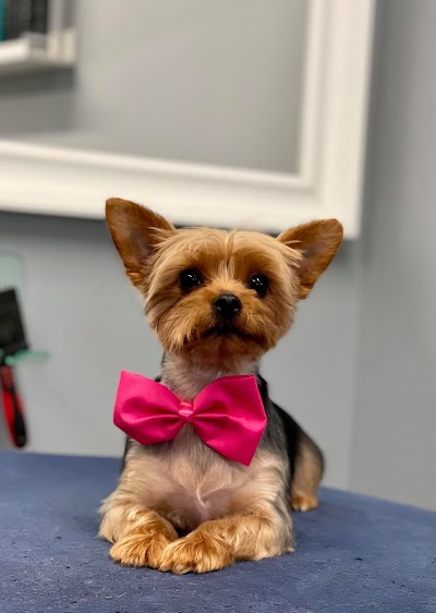 Grooming Van Image