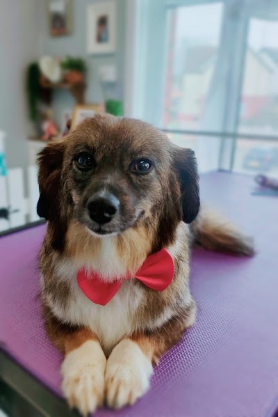 Grooming Van Image