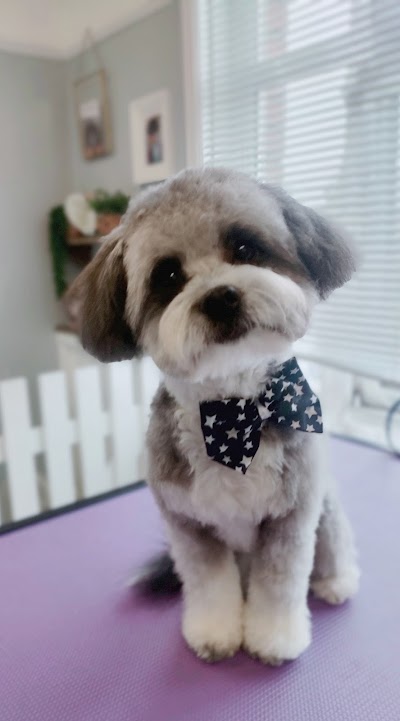 Grooming Van Image