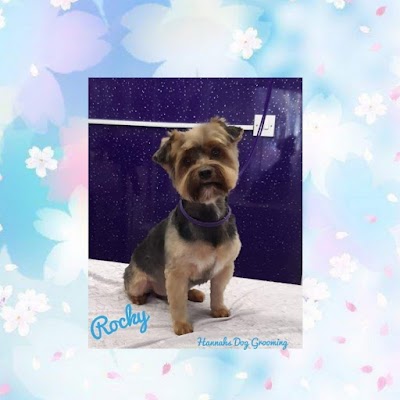 Grooming Van Image