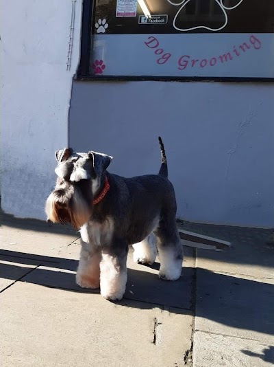 Grooming Van Image
