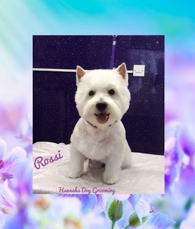 Grooming Van Image