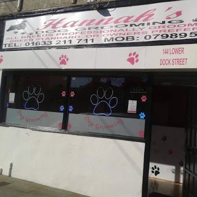 hannahs dog grooming