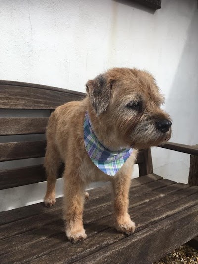 Grooming Van Image