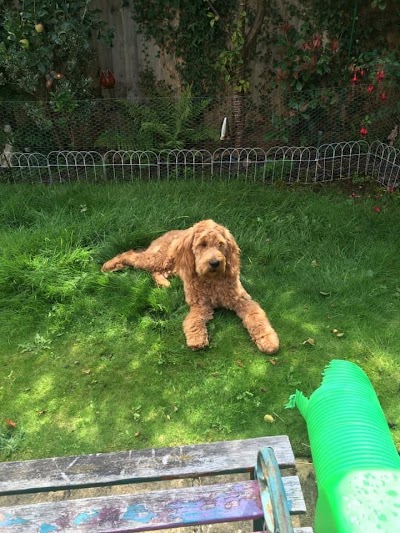 Grooming Van Image
