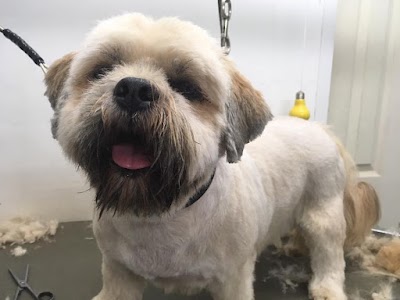 Grooming Van Image