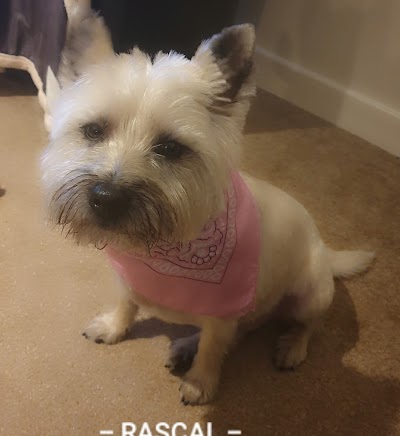 Grooming Van Image