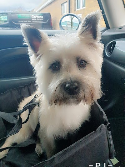 Grooming Van Image