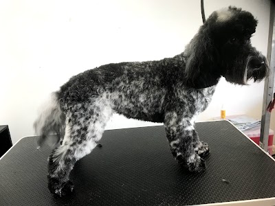 Grooming Van Image
