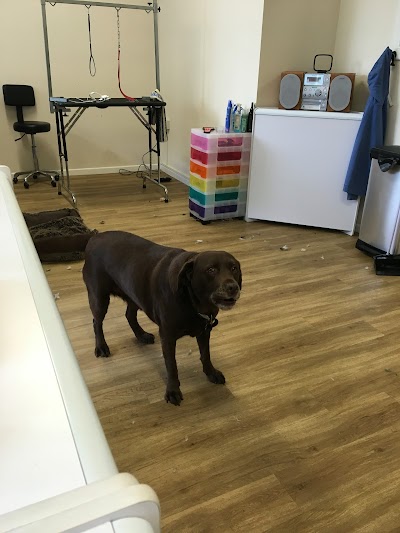 Grooming Van Image