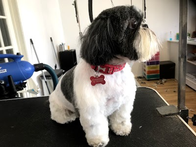 Grooming Van Image