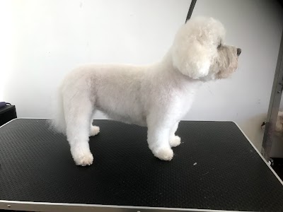 Grooming Van Image
