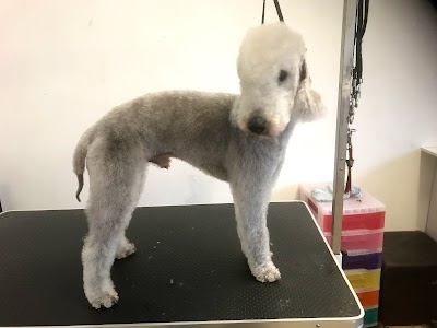Grooming Van Image