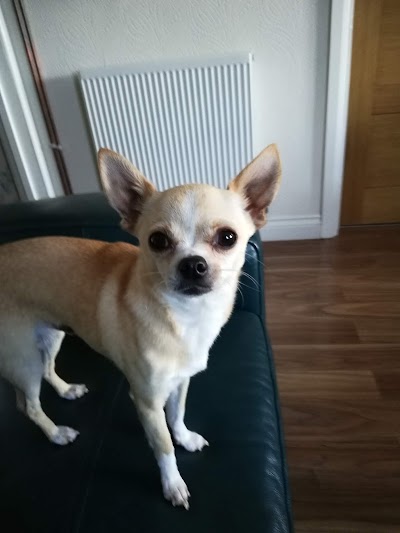 Grooming Van Image