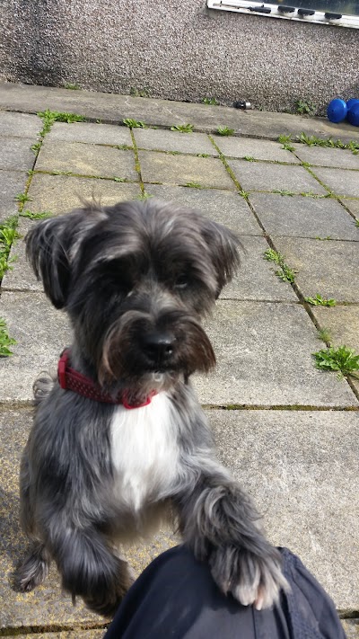 Grooming Van Image