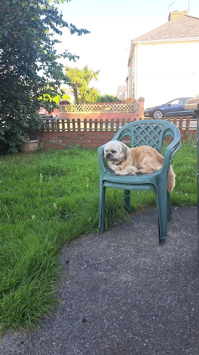 Grooming Van Image