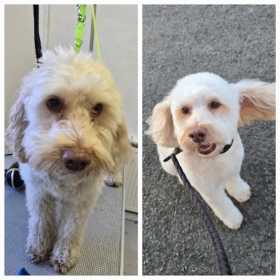 Grooming Van Image