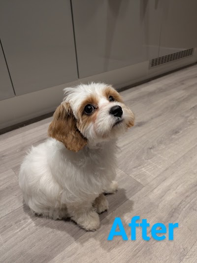 Grooming Van Image