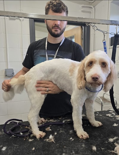Grooming Van Image
