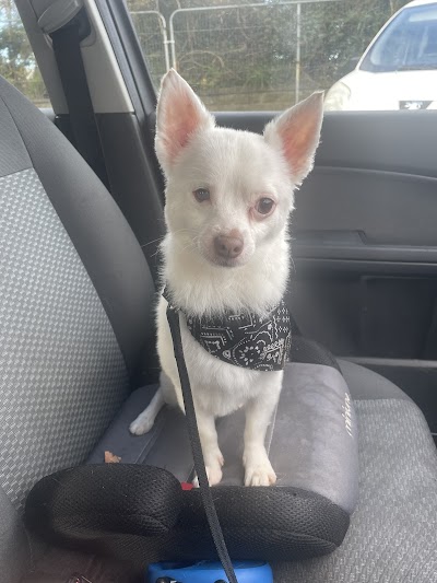 Grooming Van Image
